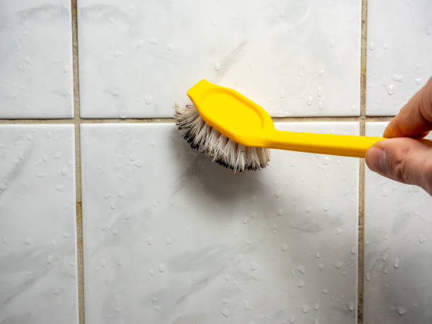 Best Professional Mold Removal  in Herriman, UT