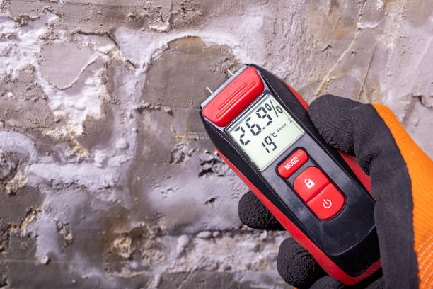 Best Black Mold Removal  in Herriman, UT