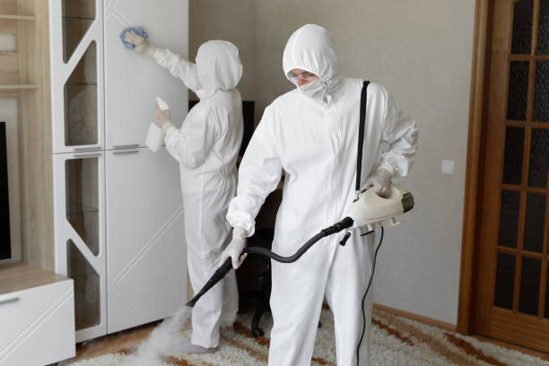 Best Crawl Space Mold Removal  in Herriman, UT