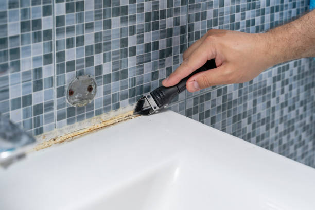 Best Best Mold Removal Companies  in Herriman, UT