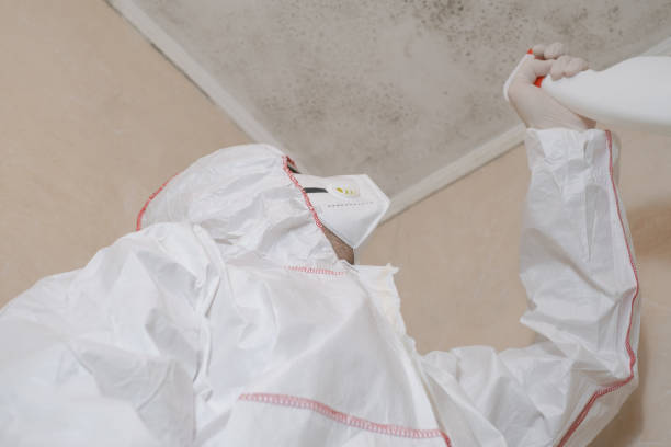 Crawl Space Mold Removal in Herriman, UT